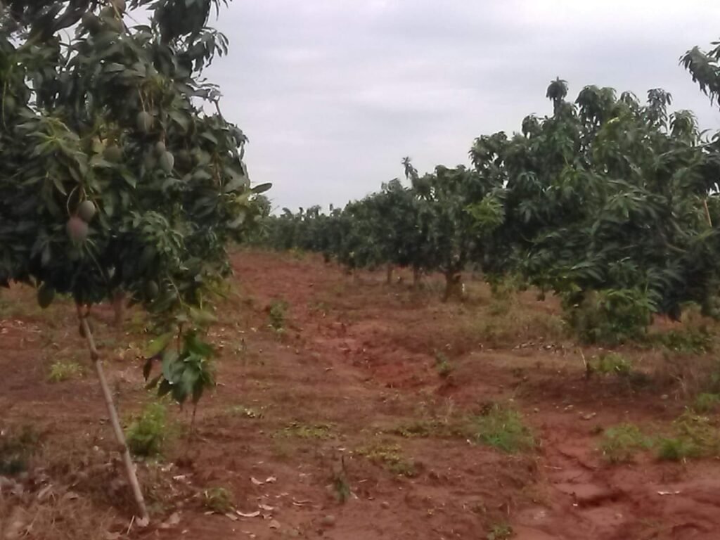img 20260911 wa0013